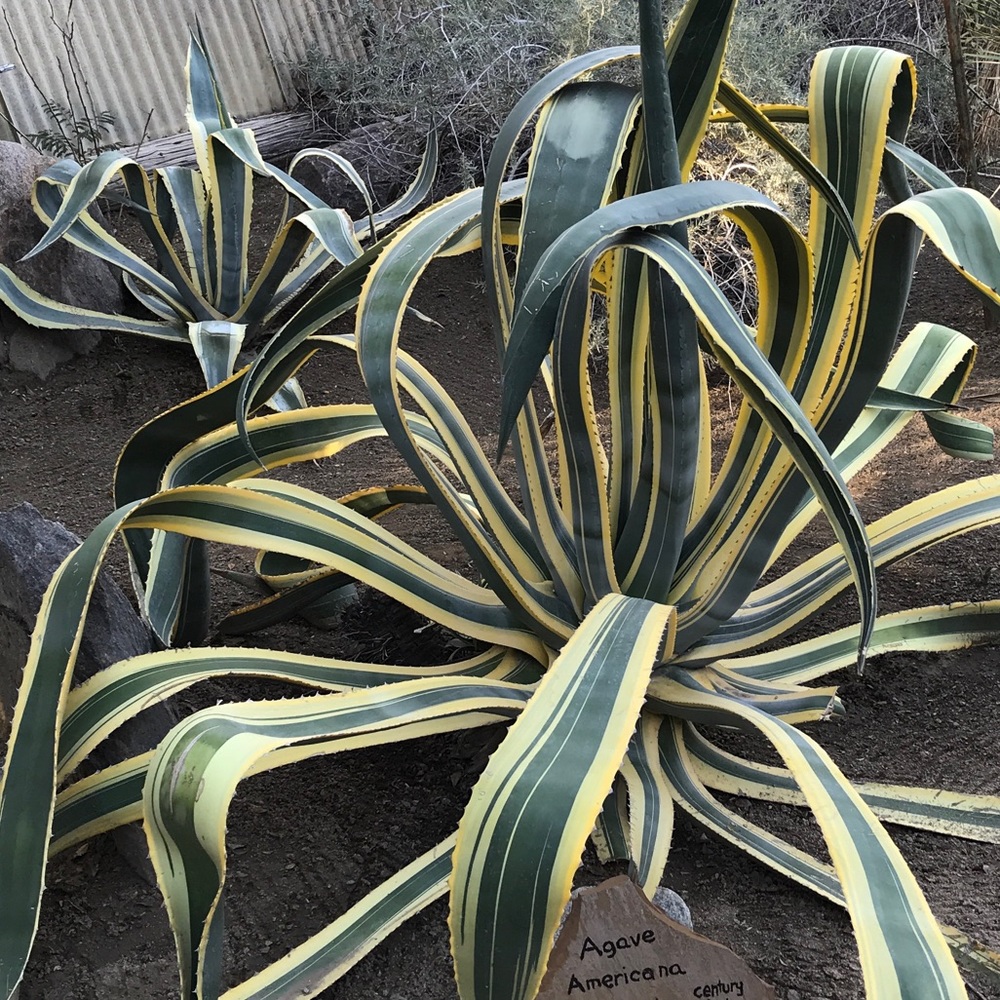 Meet your Posher, leahhnah!